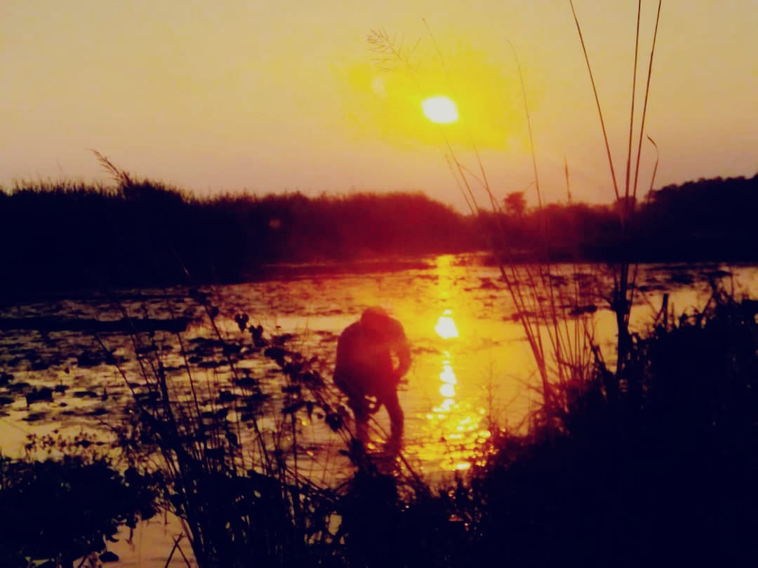 Farmer working in a field